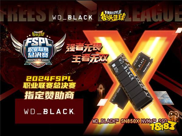 2024街头篮球FSPL总决赛震撼来袭！WD_BLACK助力王者争霸，谁